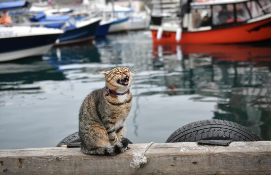 Регионы России. Крым