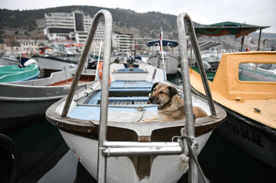 Регионы России. Крым