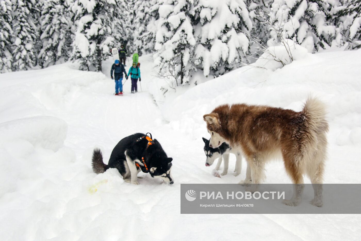 Фрирайд на горе Мамай в Бурятии