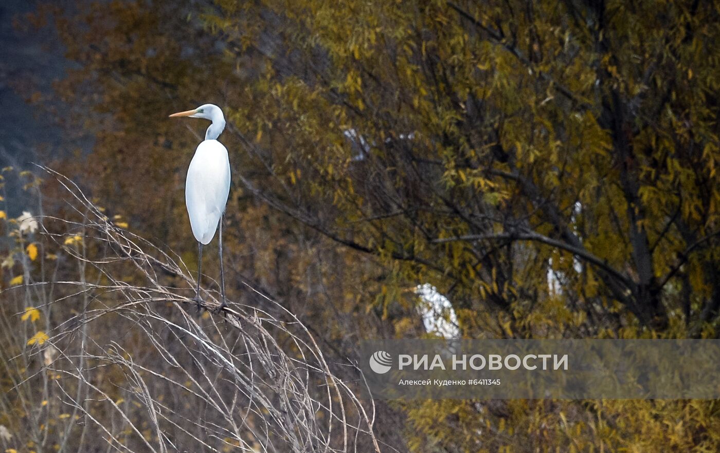 Джебраильский район Азербайджана