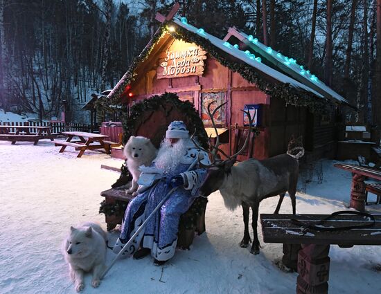 Резиденция Деда Мороза в парке флоры и фауны "Роев ручей"