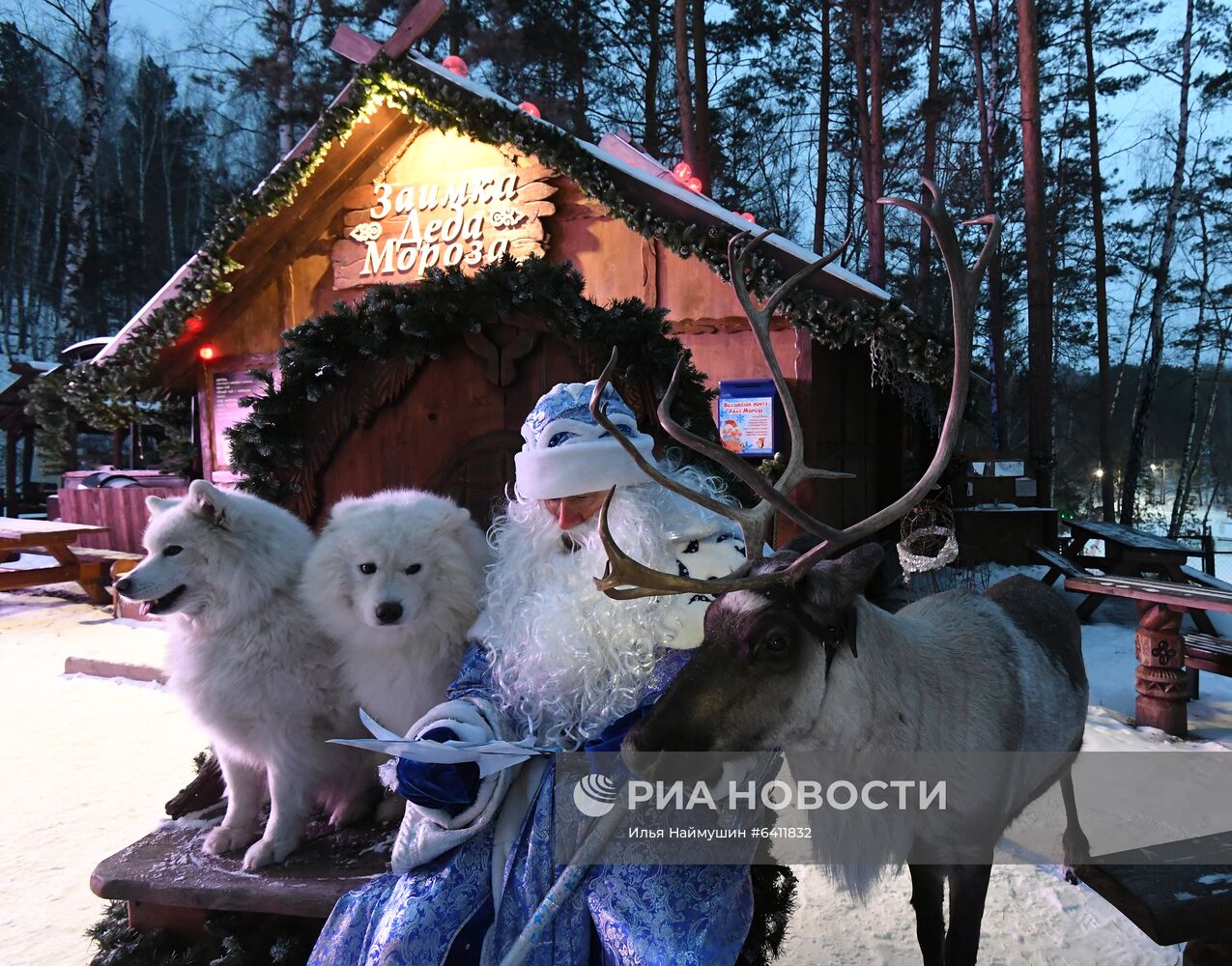 Резиденция Деда Мороза в парке флоры и фауны "Роев ручей"