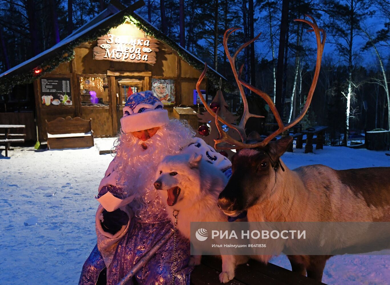 Резиденция Деда Мороза в парке флоры и фауны "Роев ручей"