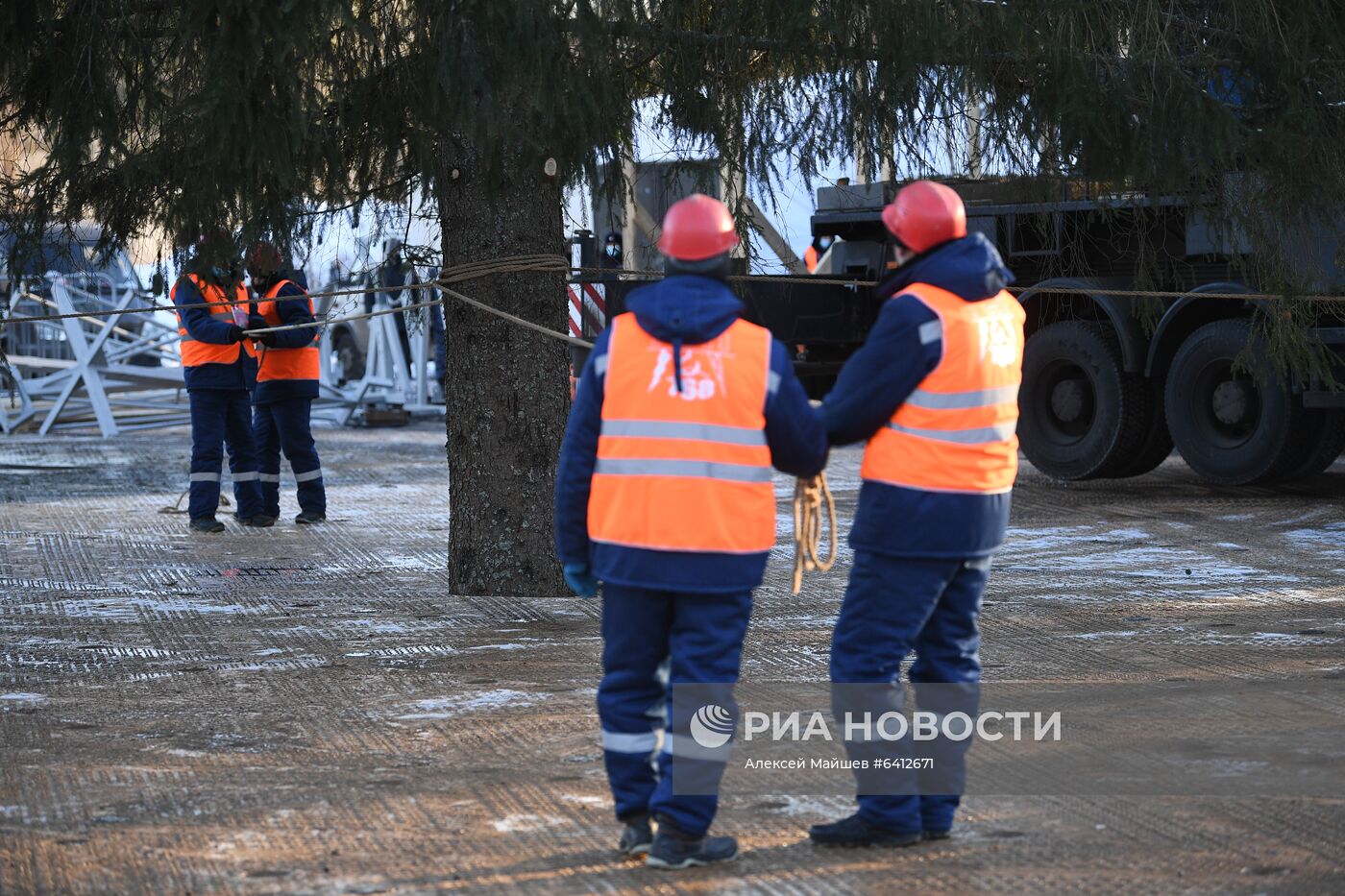 Рубка главной новогодней елки страны в Подмосковье