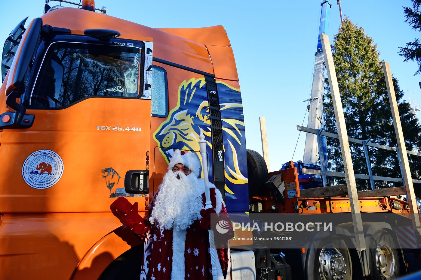 Рубка главной новогодней елки страны в Подмосковье