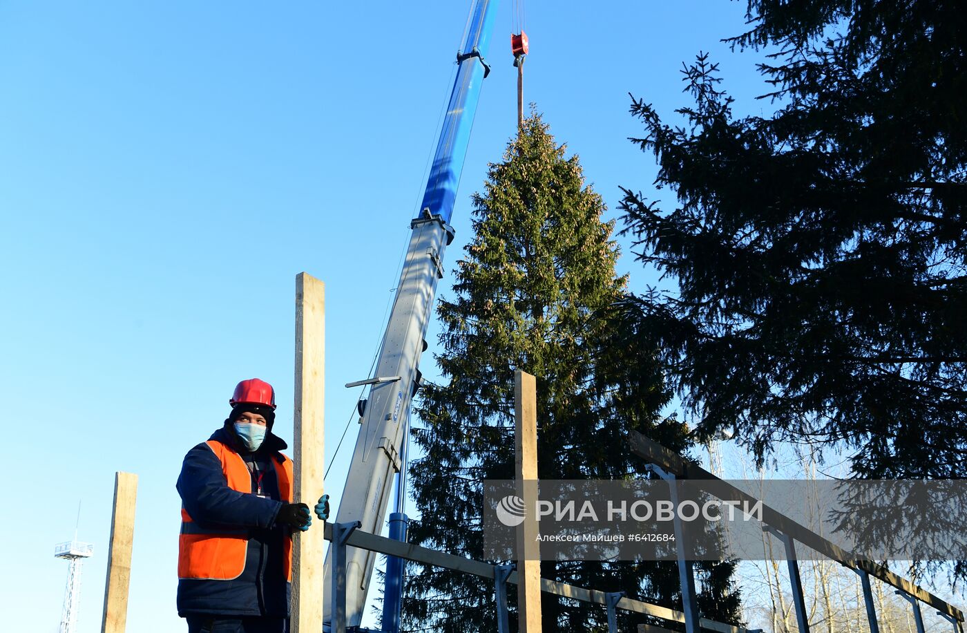 Рубка главной новогодней елки страны в Подмосковье