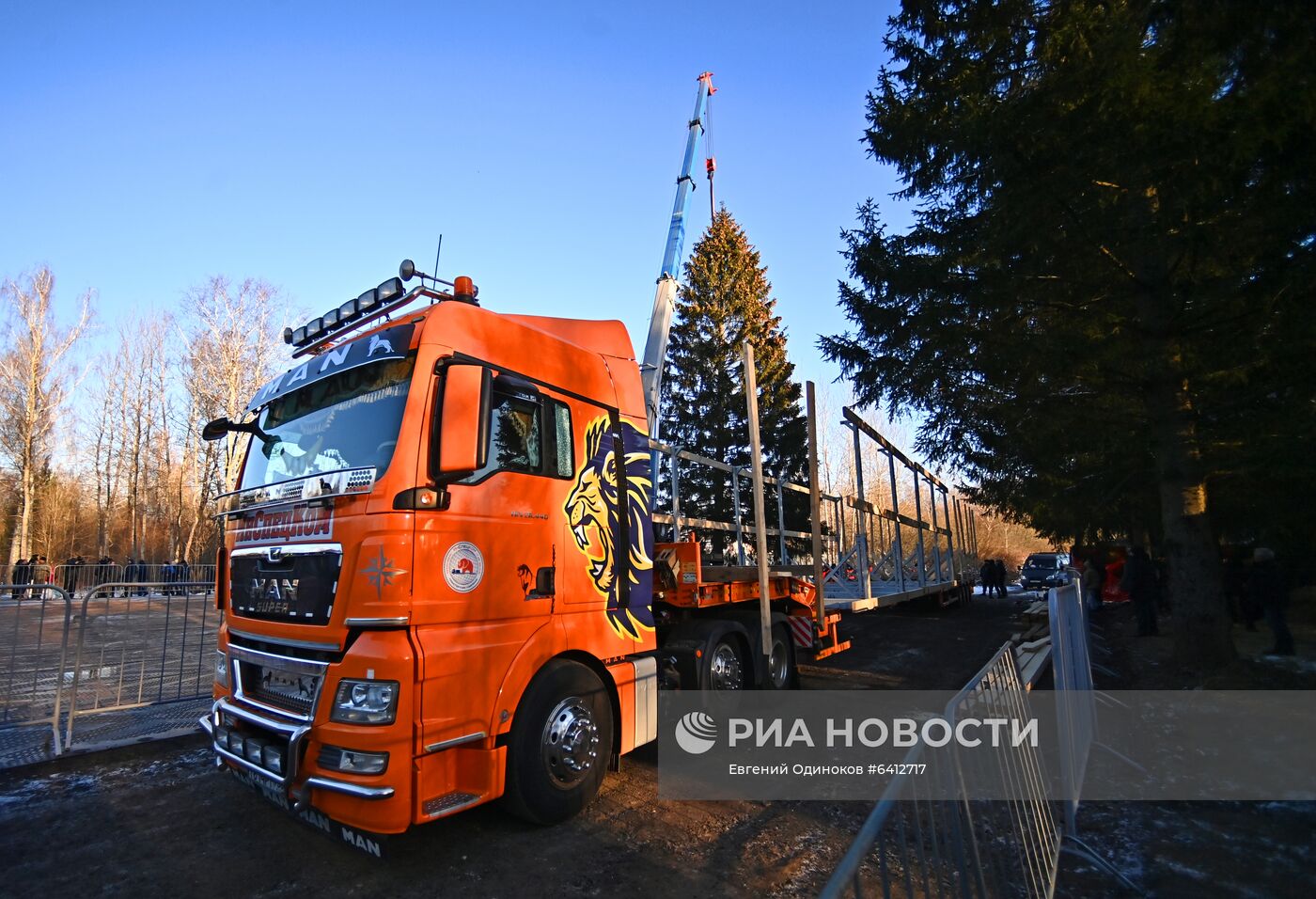 Рубка главной новогодней елки страны в Подмосковье