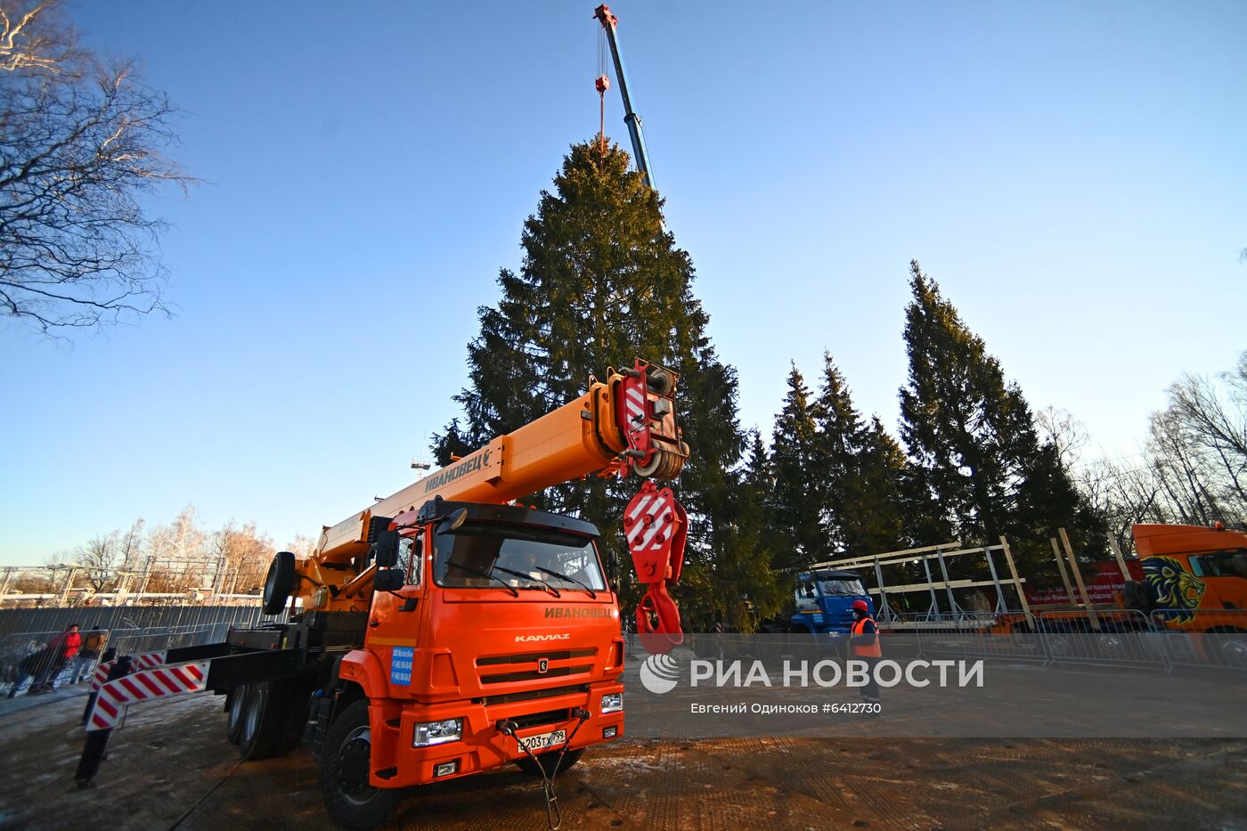 Рубка главной новогодней елки страны в Подмосковье