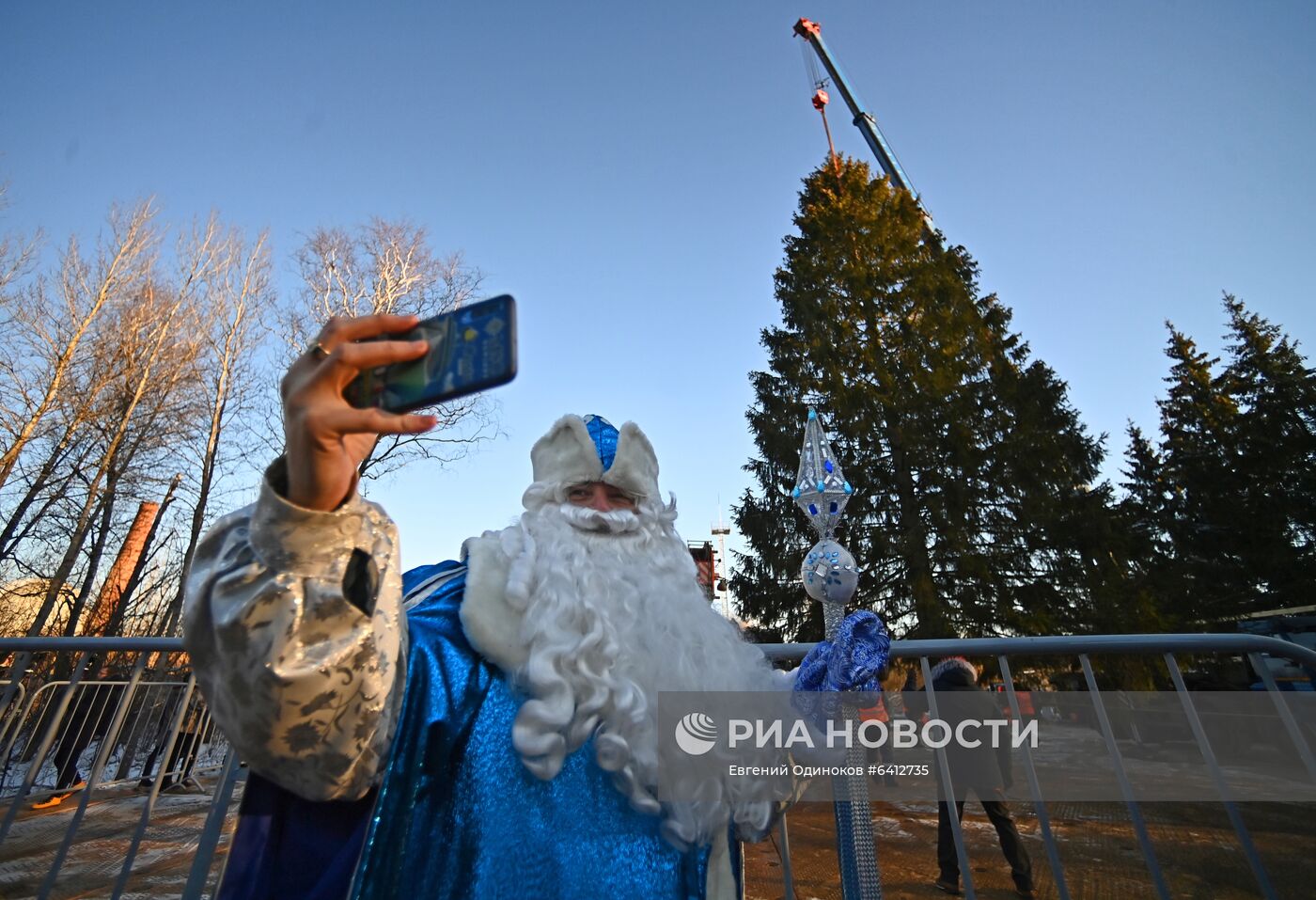 Рубка главной новогодней елки страны в Подмосковье