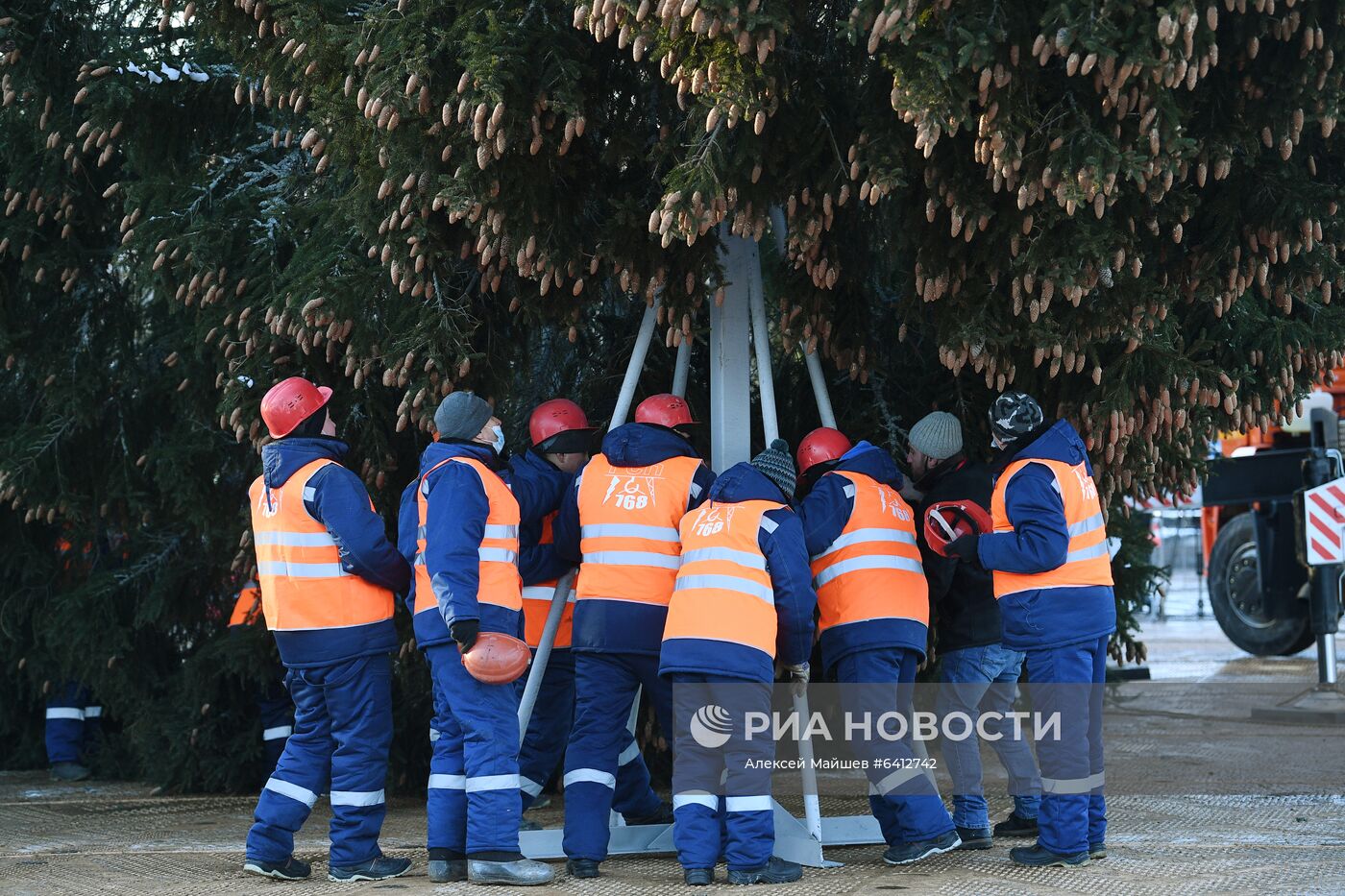 Рубка главной новогодней елки страны в Подмосковье