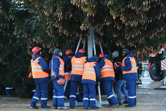 Рубка главной новогодней елки страны в Подмосковье