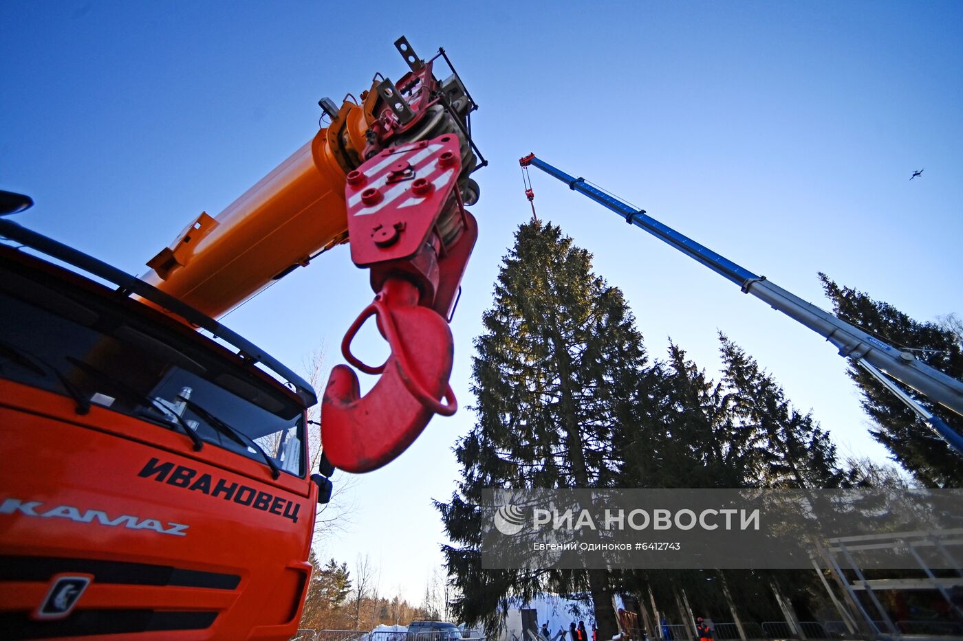 Рубка главной новогодней елки страны в Подмосковье