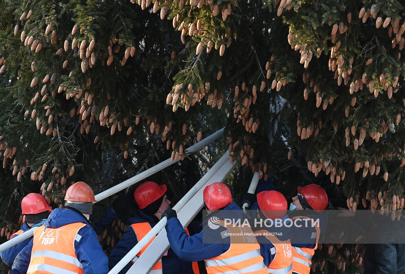 Рубка главной новогодней елки страны в Подмосковье