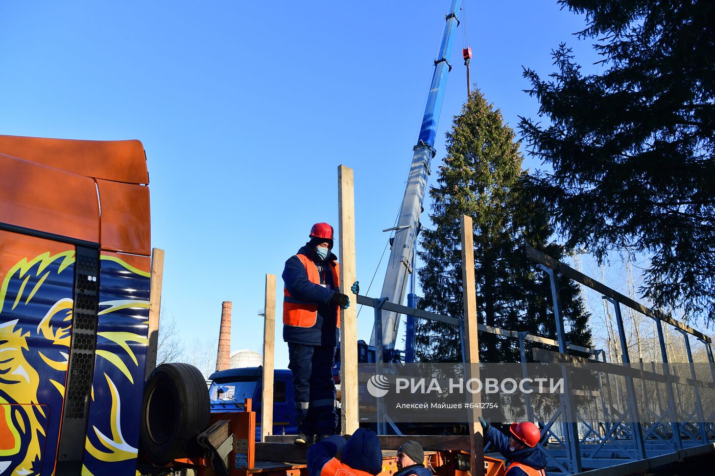 Рубка главной новогодней елки страны в Подмосковье