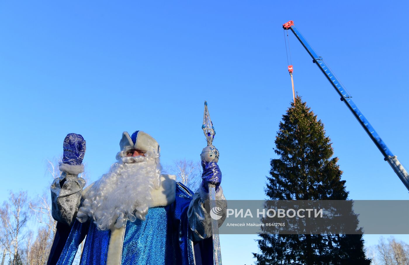 Рубка главной новогодней елки страны в Подмосковье