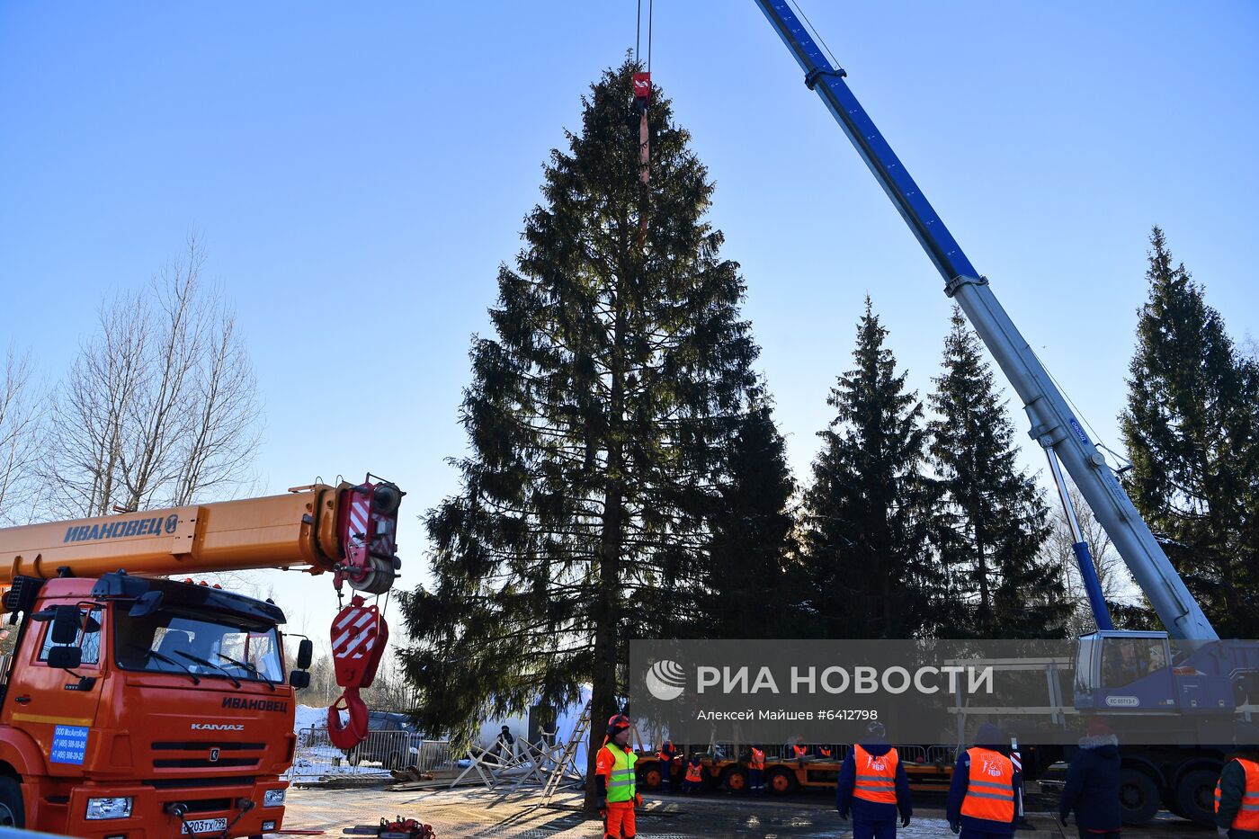 Рубка главной новогодней елки страны в Подмосковье