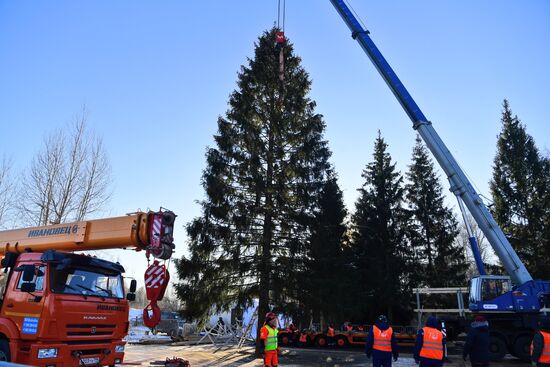 Рубка главной новогодней елки страны в Подмосковье