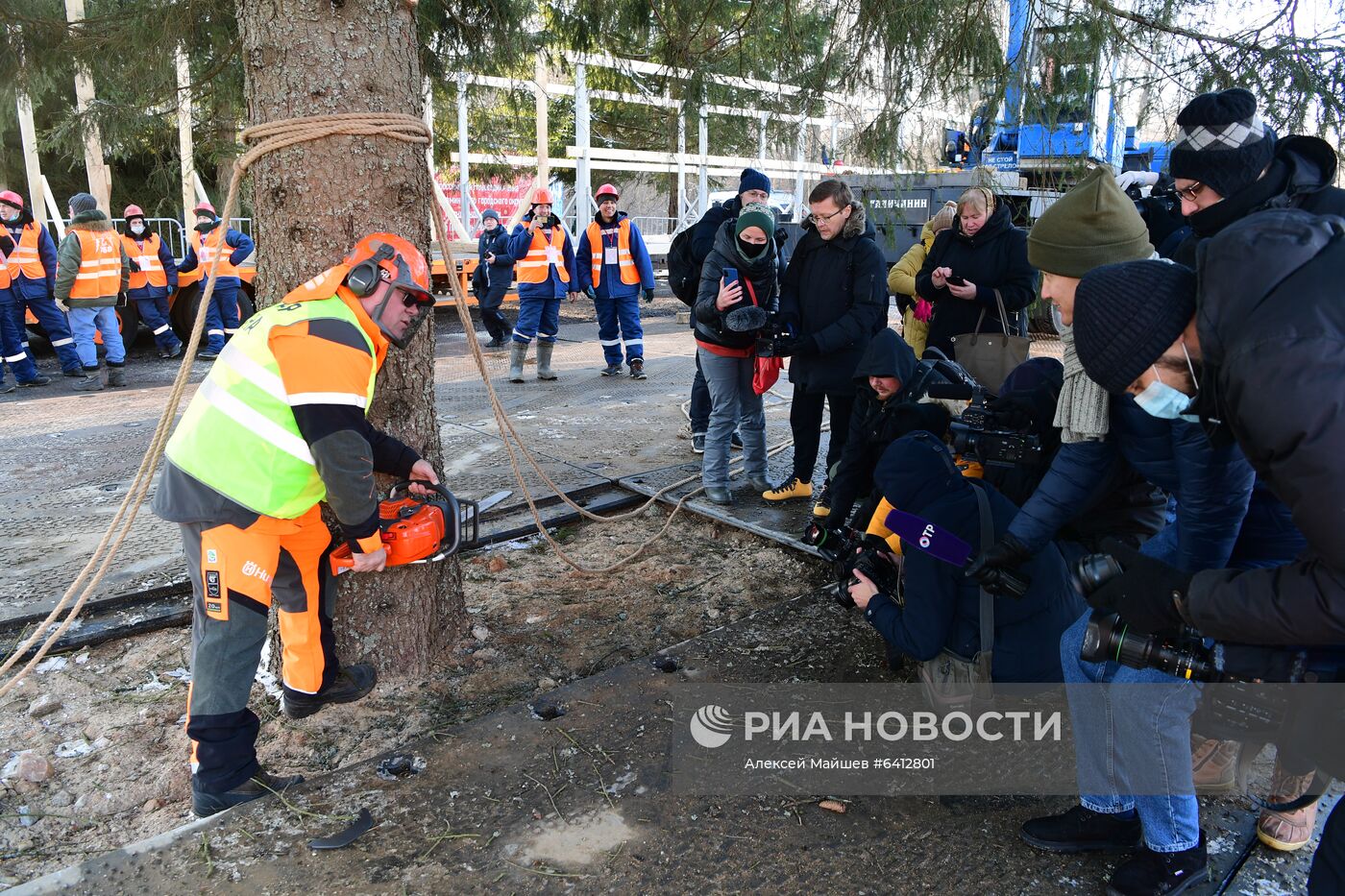 Рубка главной новогодней елки страны в Подмосковье