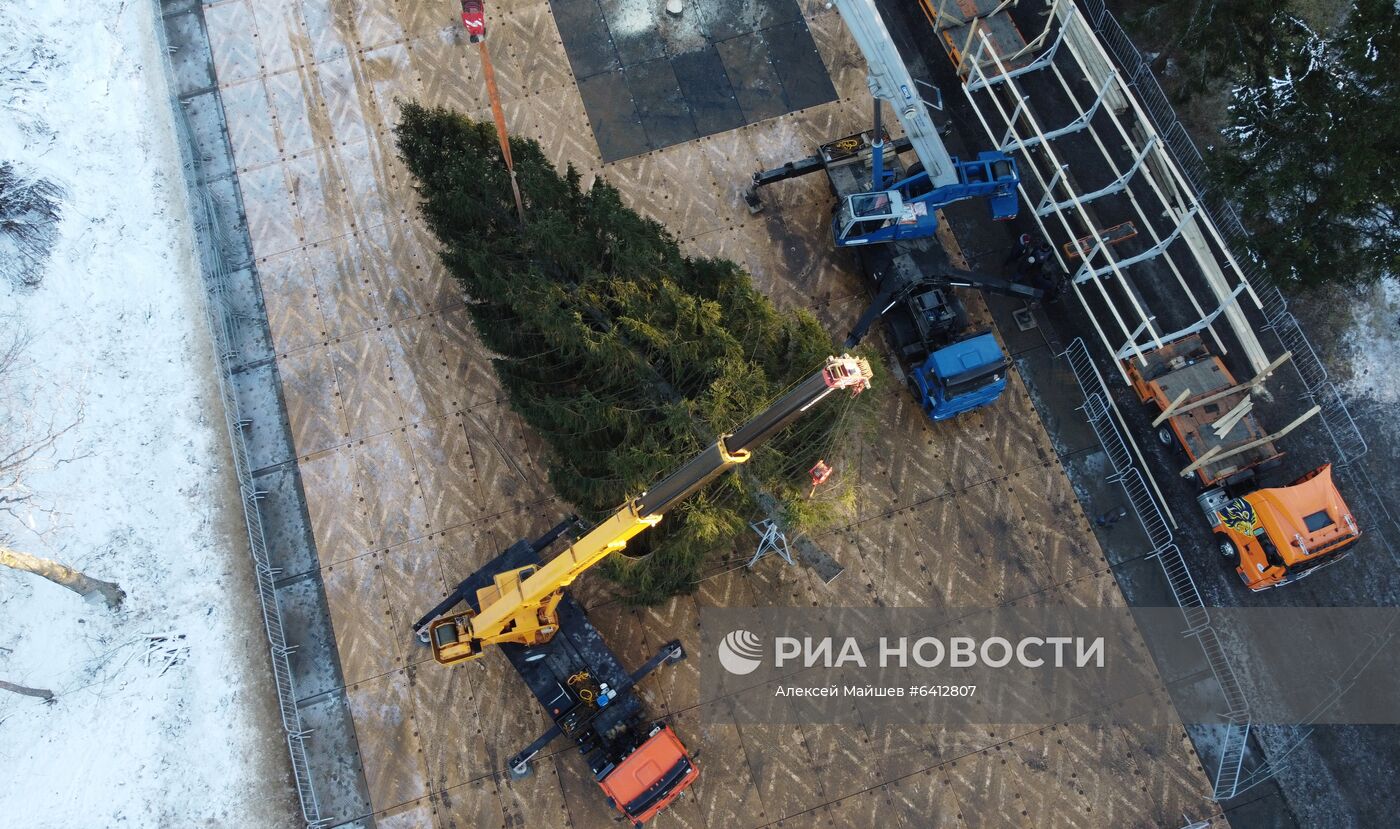 Рубка главной новогодней елки страны в Подмосковье