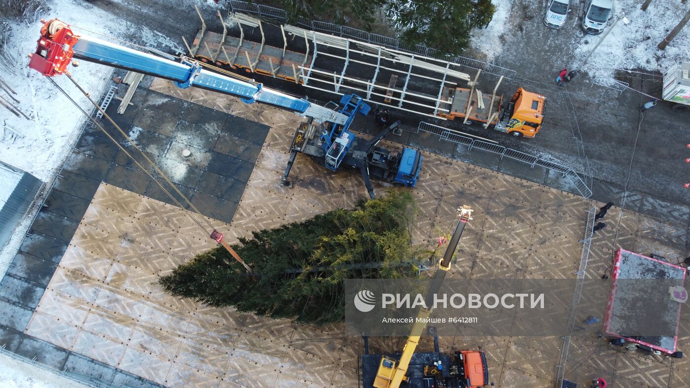 Рубка главной новогодней елки страны в Подмосковье