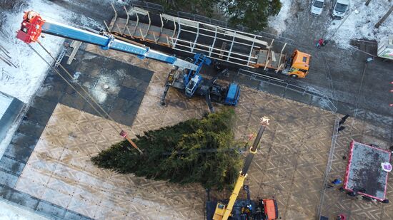 Рубка главной новогодней елки страны в Подмосковье