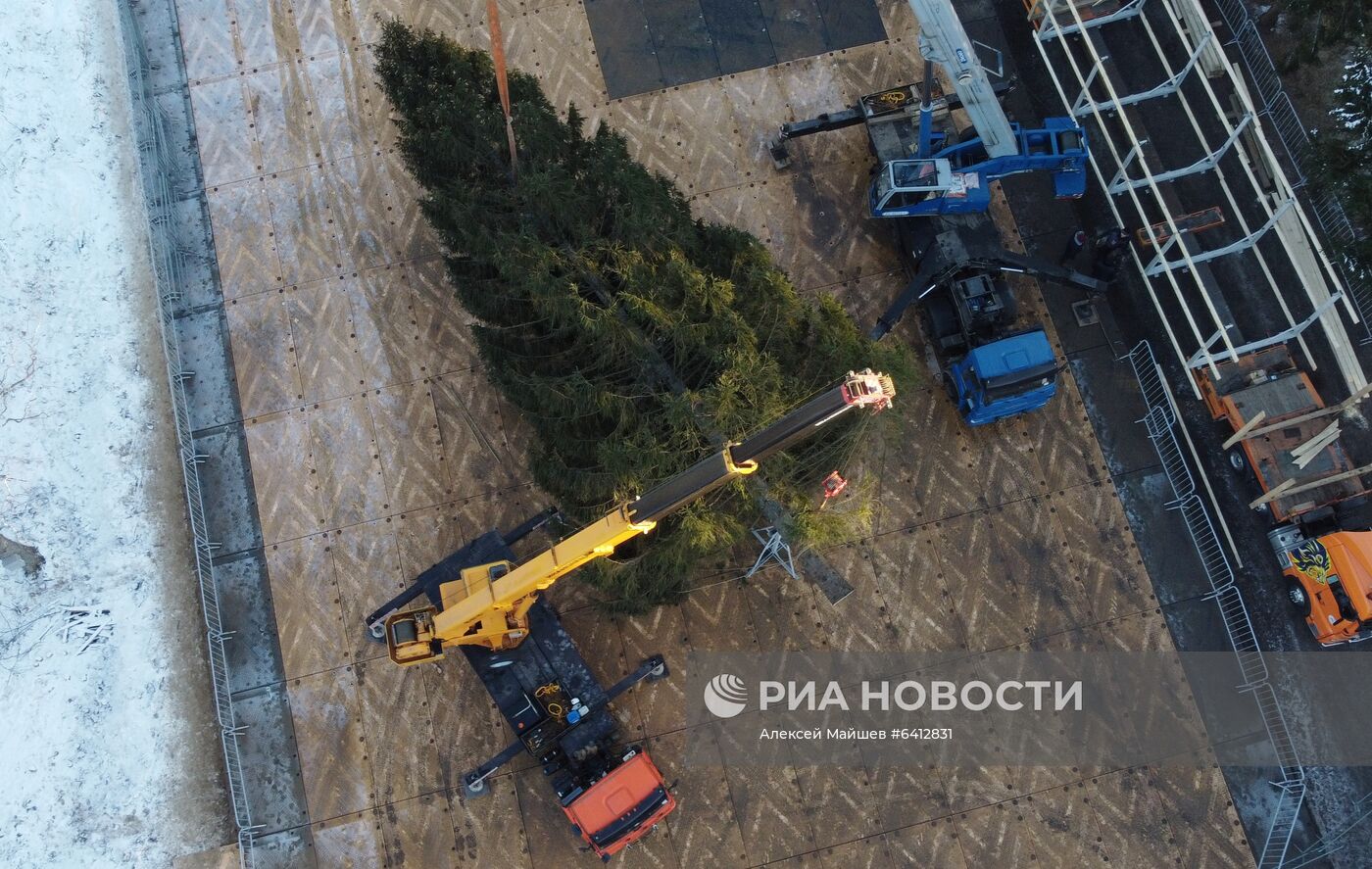 Рубка главной новогодней елки страны в Подмосковье