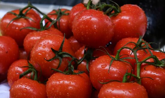 Россельхознадзор запретил ввоз овощей и фруктов из нескольких стран