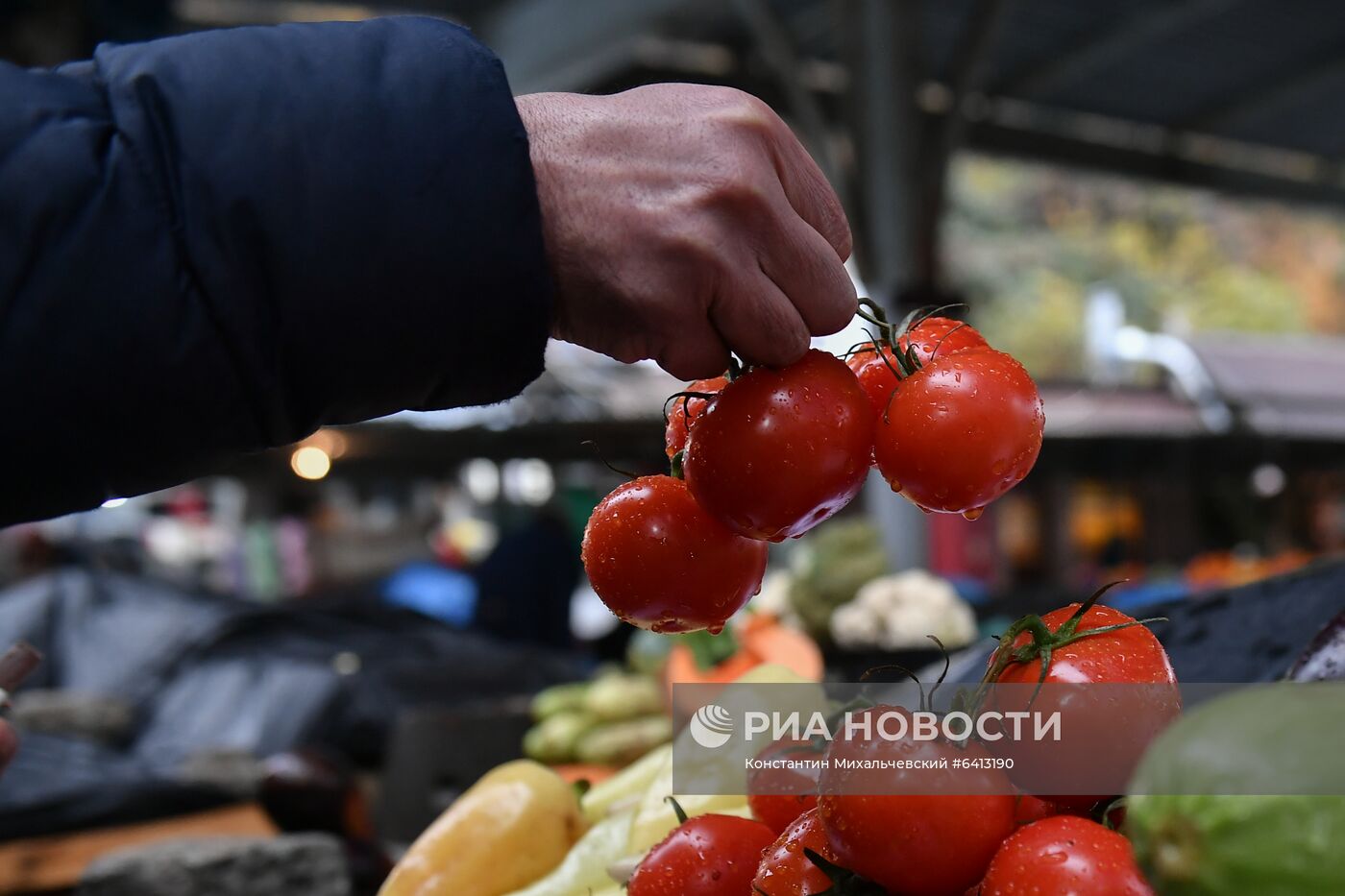 Россельхознадзор запретил ввоз овощей и фруктов из нескольких стран