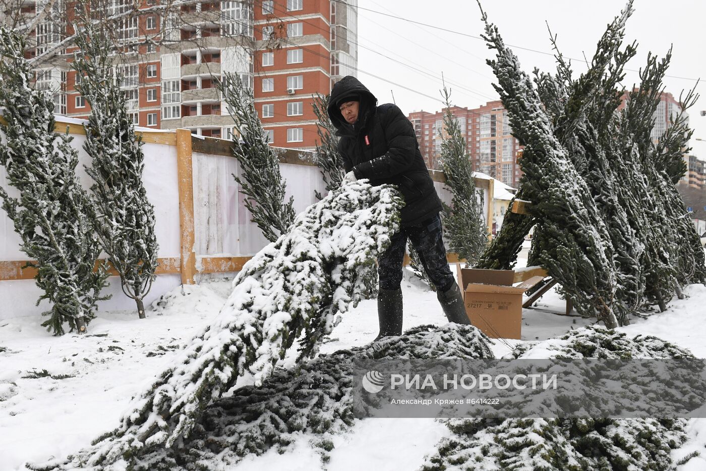 Елочные базары в Новосибирске