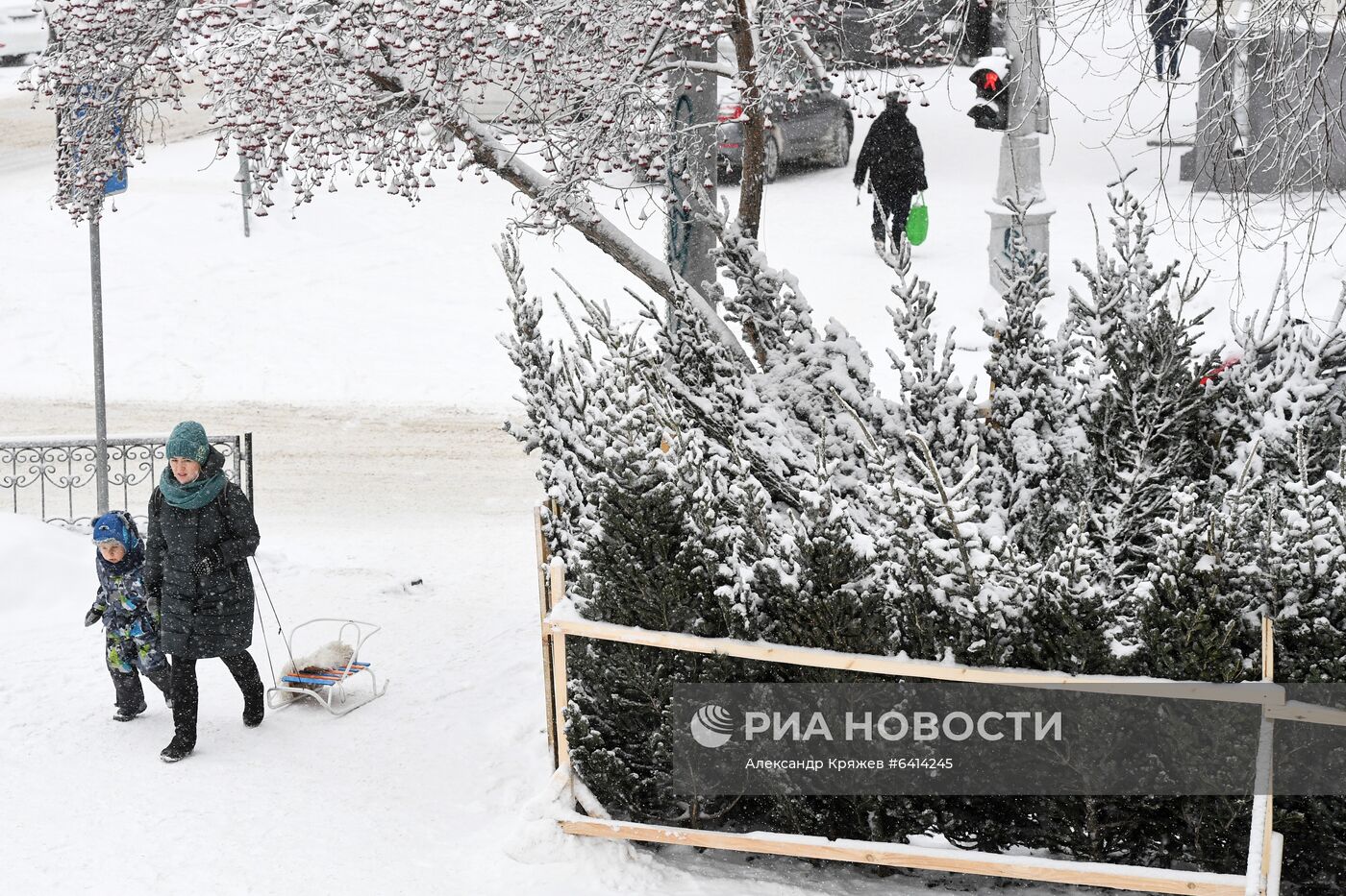 Елочные базары в Новосибирске