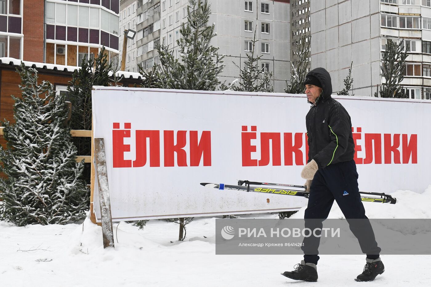 Елочные базары в Новосибирске