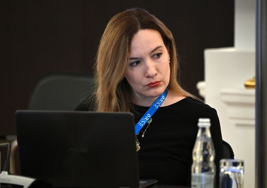 Заседание шерп/су-шерп стран БРИКС. День второй