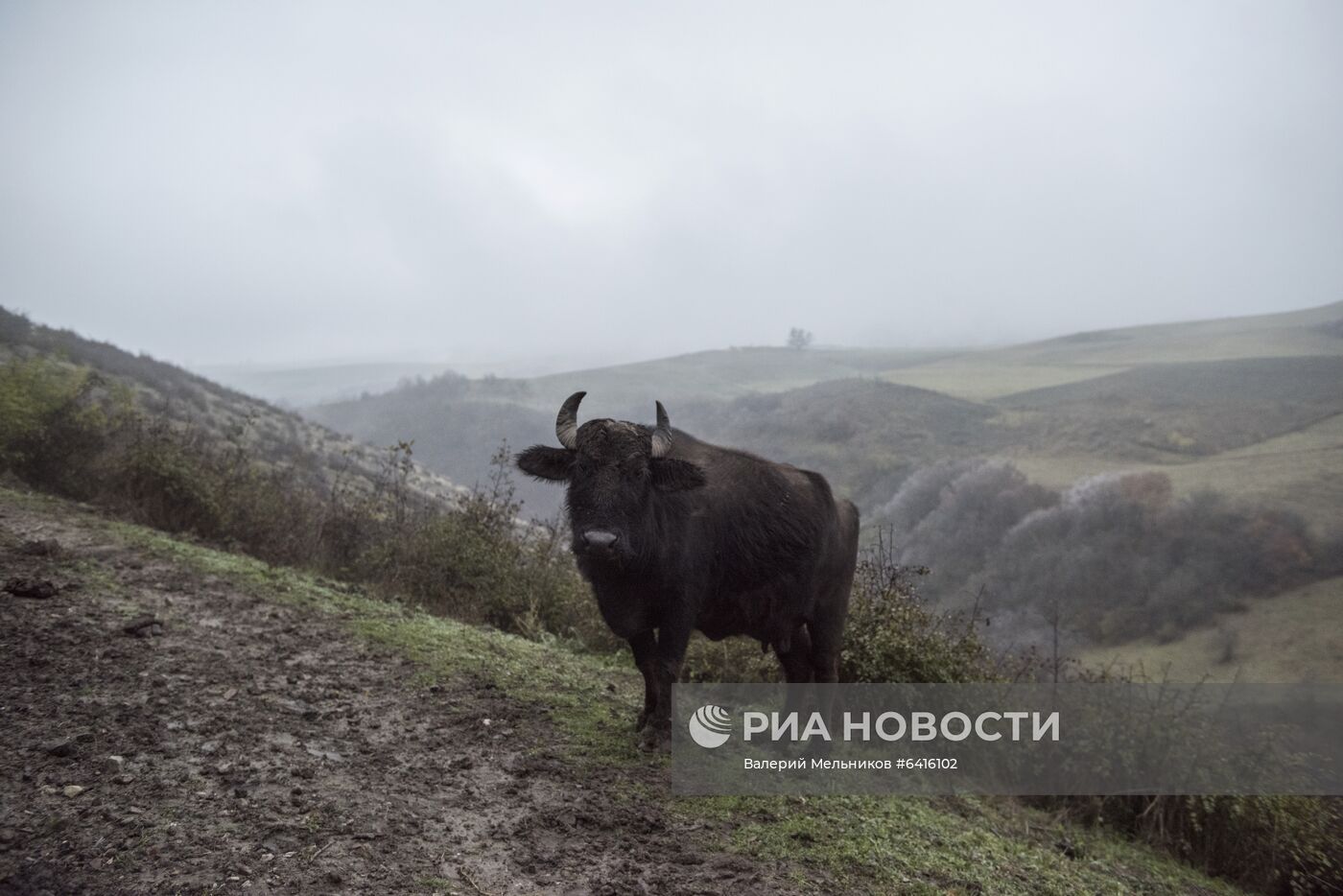 Село Тагавард в Нагорном Карабахе