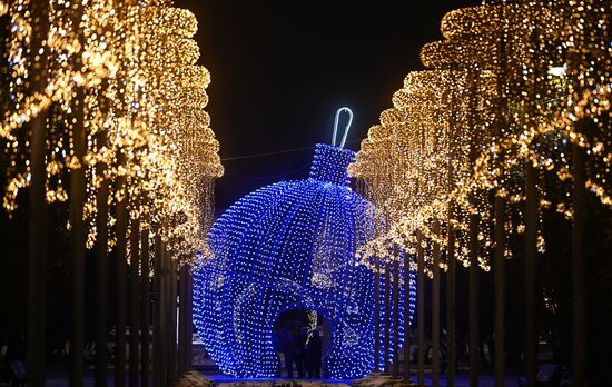 Предновогодняя Москва 