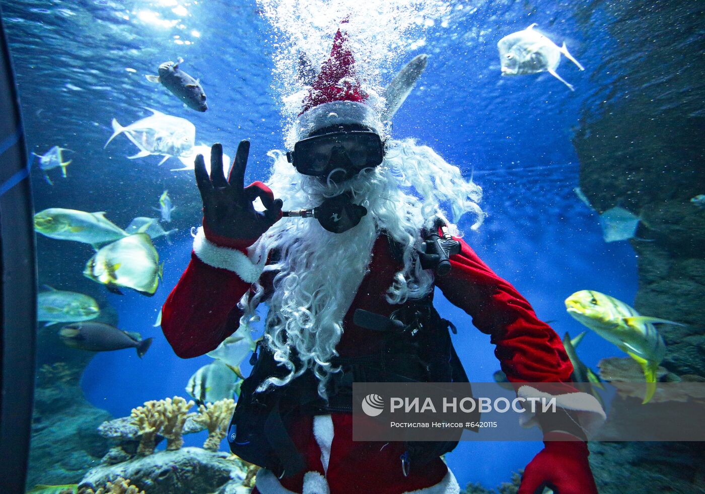 Дайвер в костюме Деда Мороза в новосибирском океанариуме