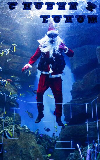 Дайвер в костюме Деда Мороза в новосибирском океанариуме 