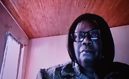 Встреча руководителей ведомств стран БРИКС, ответственных за обеспечение санитарно-эпидемиологического благополучия населения