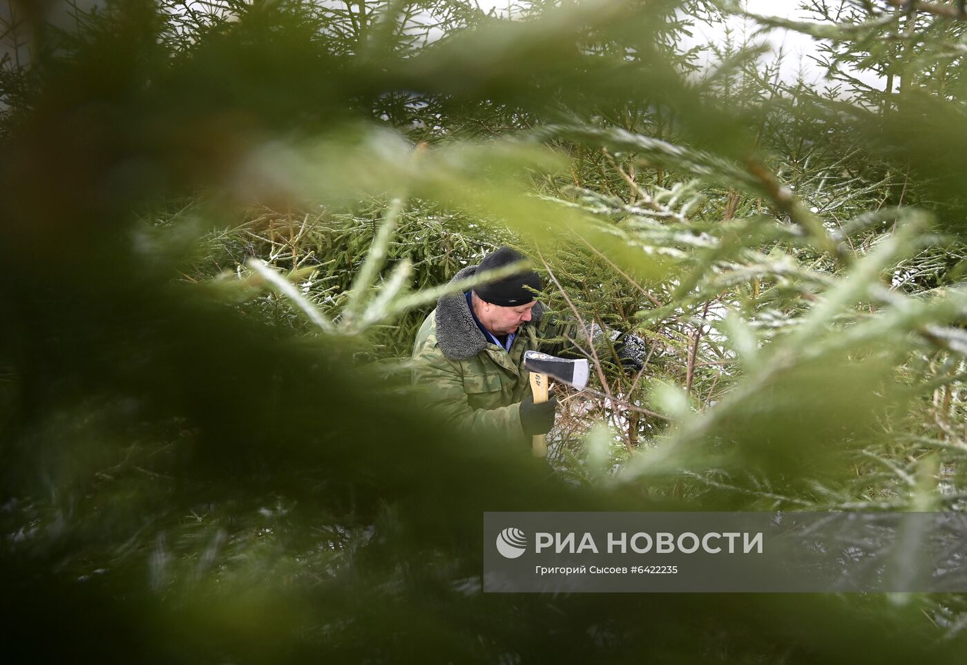 Новогодняя акция "Ель домой – всей семьёй"