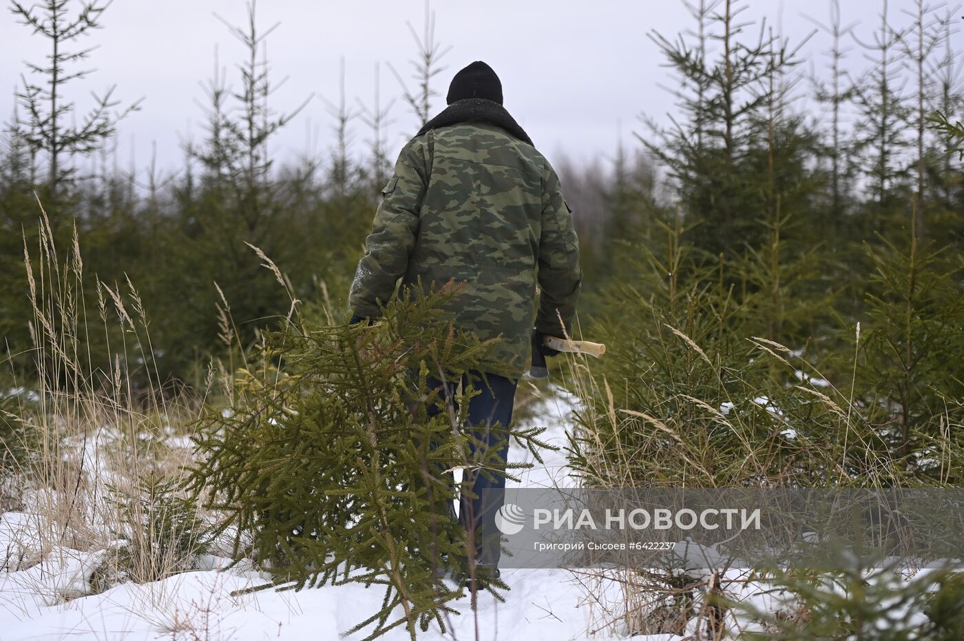 Новогодняя акция "Ель домой – всей семьёй"