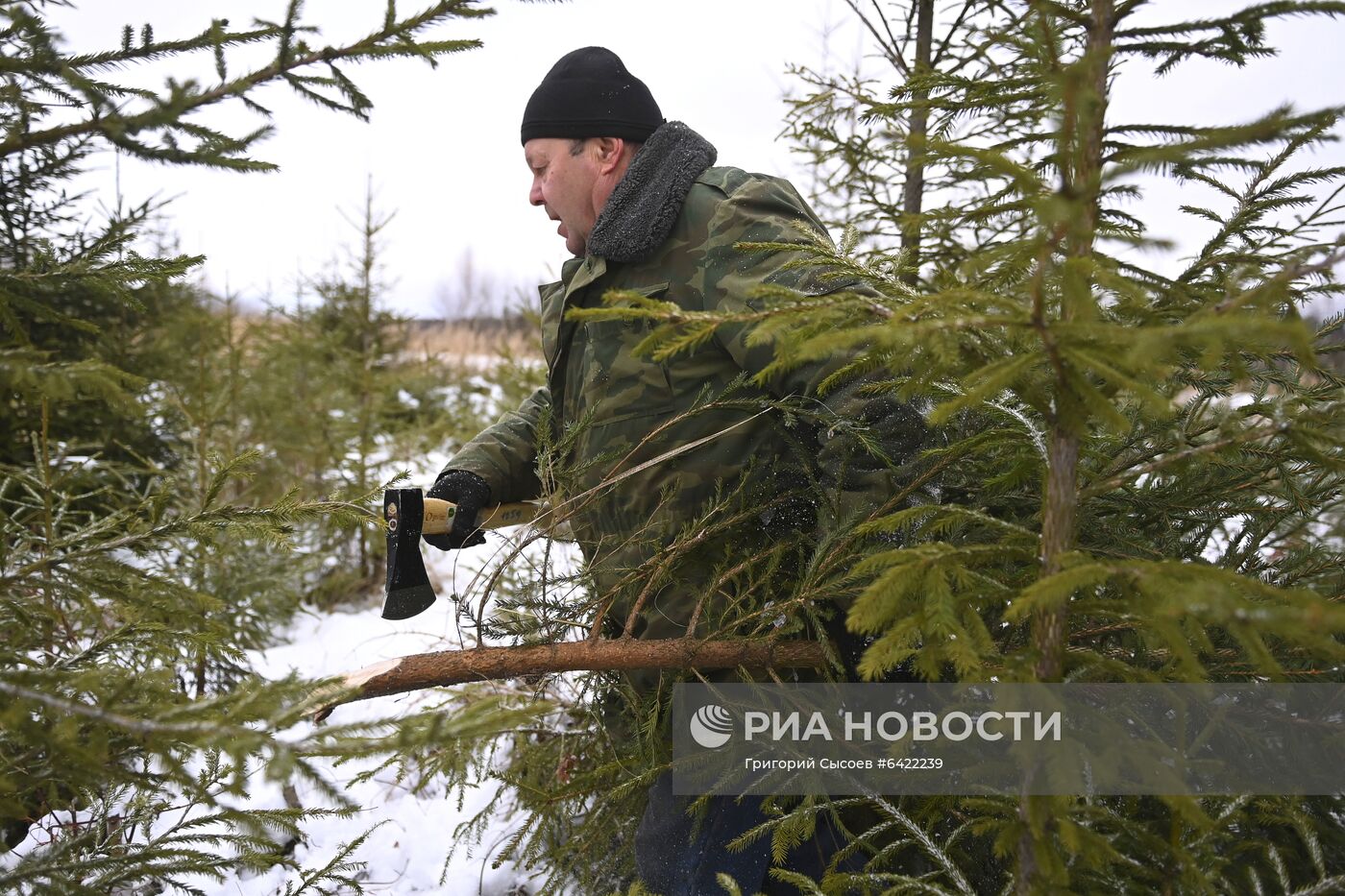 Новогодняя акция "Ель домой – всей семьёй"