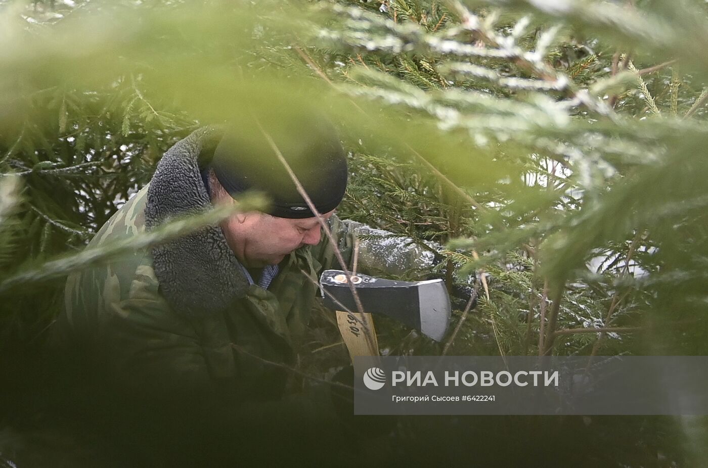 Новогодняя акция "Ель домой – всей семьёй"