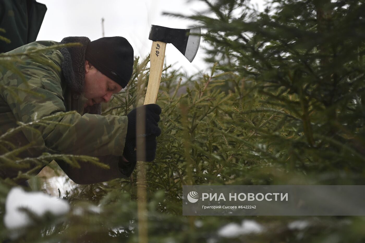 Новогодняя акция "Ель домой – всей семьёй"