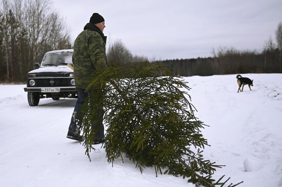 Новогодняя акция "Ель домой – всей семьёй"