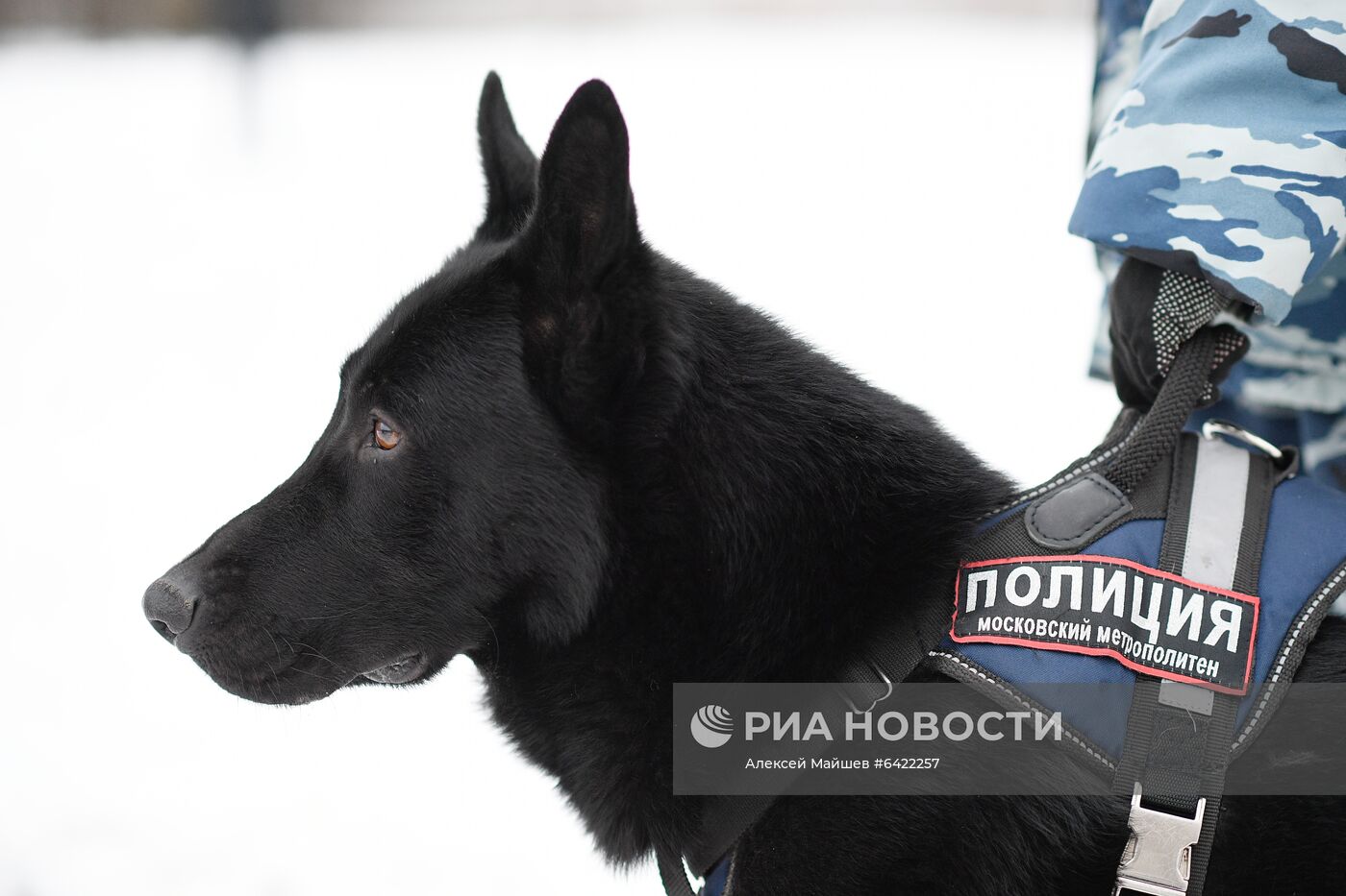 Кинологический центр УВД на Московском метрополитене