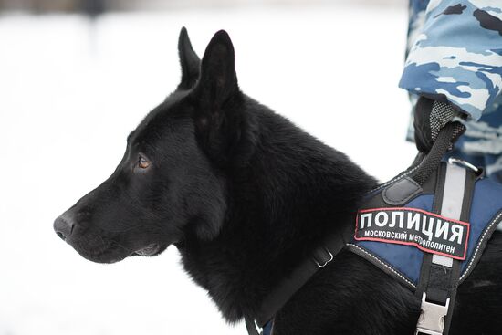 Кинологический центр УВД на Московском метрополитене