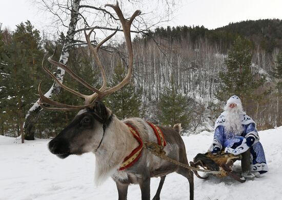 Новогодние мероприятия в парке флоры и фауны "Роев ручей"