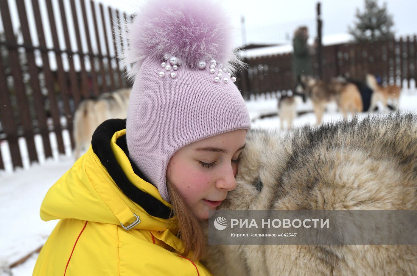 Хаски-деревня "Рузская Аляска"