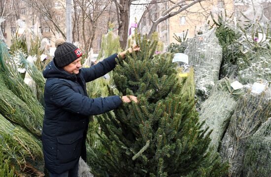 Открытие елочных базаров в Москве 