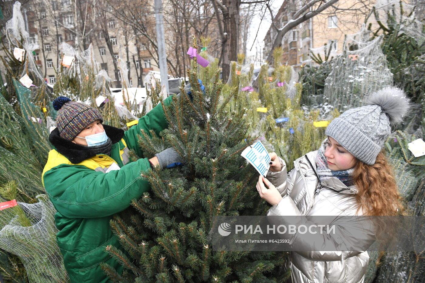 Открытие елочных базаров в Москве 