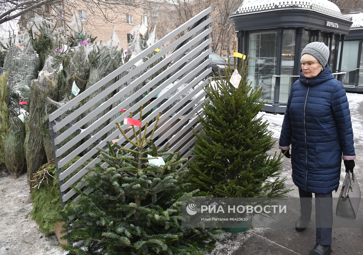 Открытие елочных базаров в Москве 